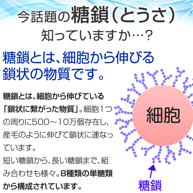シーズ糖鎖