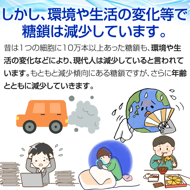 糖鎖は減少
